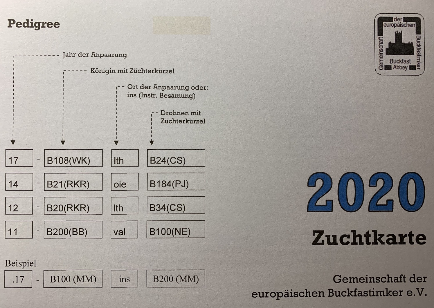 Паспорт пчеломатки бакфаст, изображение 7