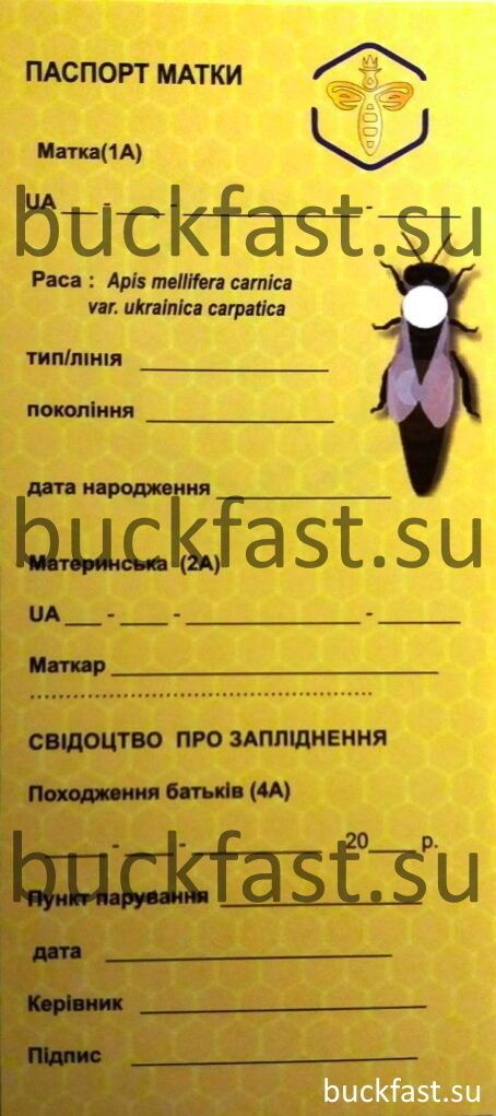 Образец паспорта 2020 года