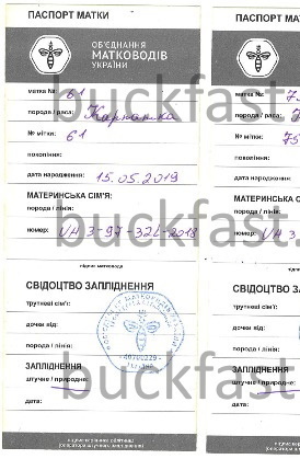 Образец паспорта 2019 года
