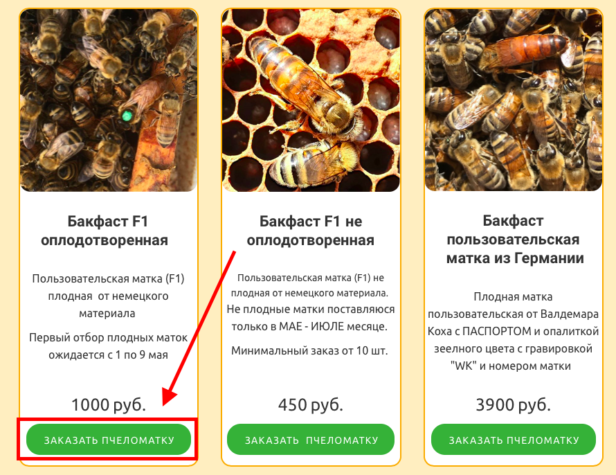 Цвет пчеломаток по годам. Метка пчеломаток. Метки пчеломаток по годам цвет. Цвет метки пчеломатки. Стадии развития пчеломатки.